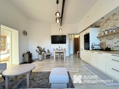 Apartament nad Sanem z widokiem na miasto