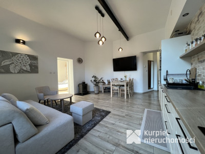 Apartament nad Sanem z widokiem na miasto