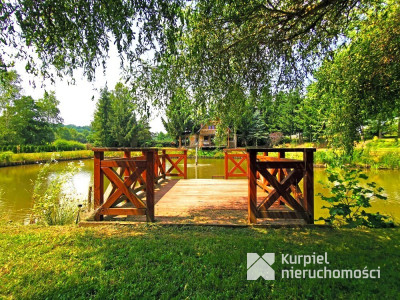 Oferta sprzedaży działki ze stawem /Mielnów/