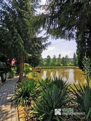 Oferta sprzedaży działki ze stawem /Mielnów/