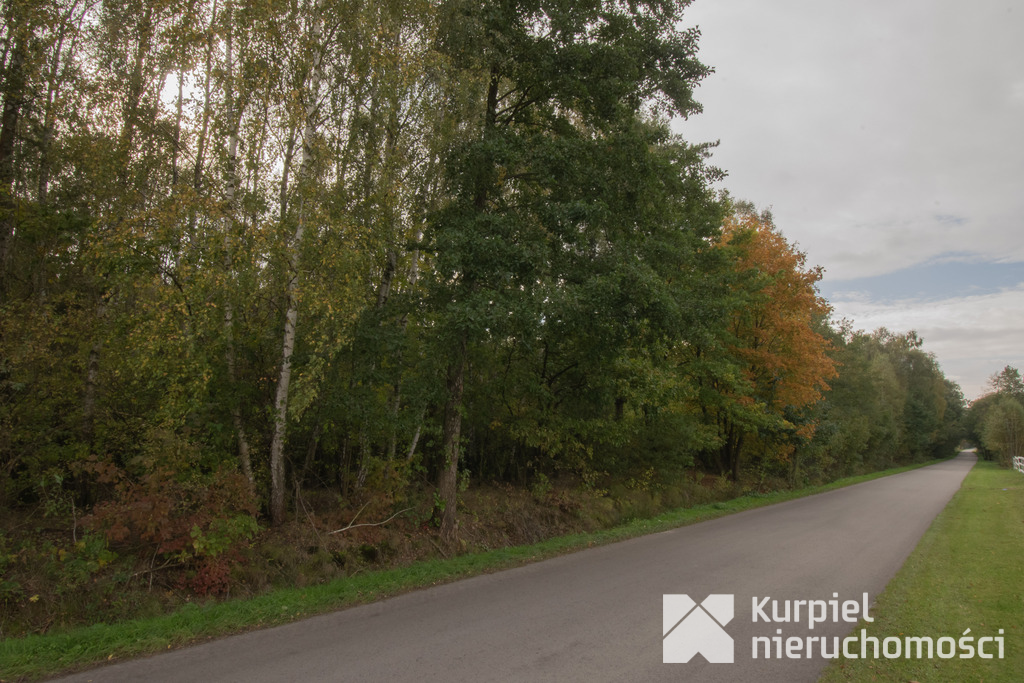 Działka 49ar w Majdanie Sieniawskim