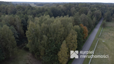 Działka 49ar w Majdanie Sieniawskim