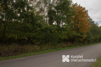 Działka 49ar w Majdanie Sieniawskim