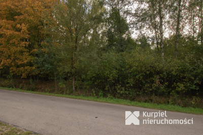 Działka 49ar w Majdanie Sieniawskim