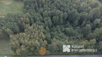 Działka 49ar w Majdanie Sieniawskim