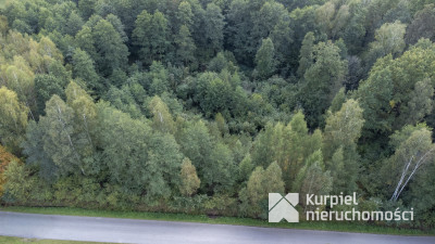 Działka 49ar w Majdanie Sieniawskim