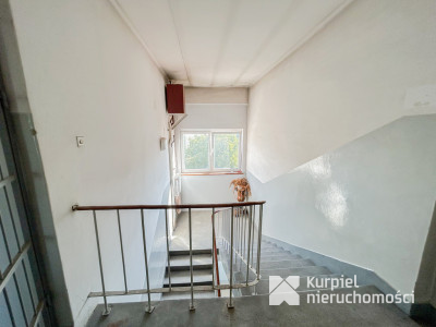 Lokal pod biuro, kancelarie, gabinety - Centrum