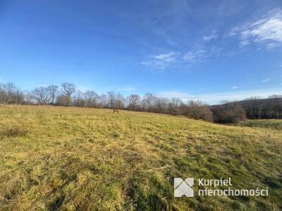 Tarnawce działka budowlana