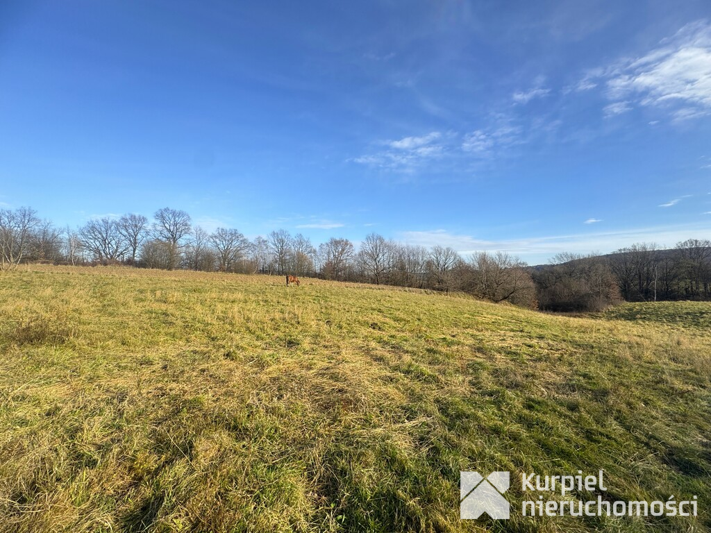 Tarnawce działka budowlana