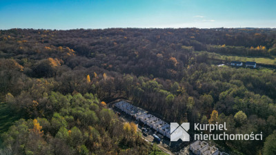 Przedsprzedaż - las św. Marcina | dla rodziny