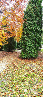 Kraków osiedle Europejskie 2 pokojowe z garażem