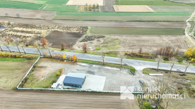 Hala z dużą działką w świetnej lokalizacji