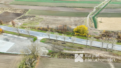 Hala z dużą działką w świetnej lokalizacji