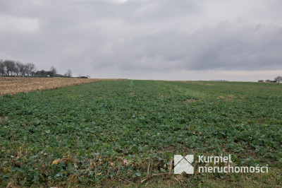 Działki z MPZP w Morawsku