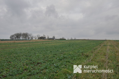 Działki z MPZP w Morawsku