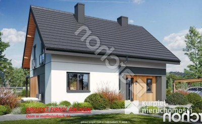 Nowy ekonomiczny dom/stan deweloperski