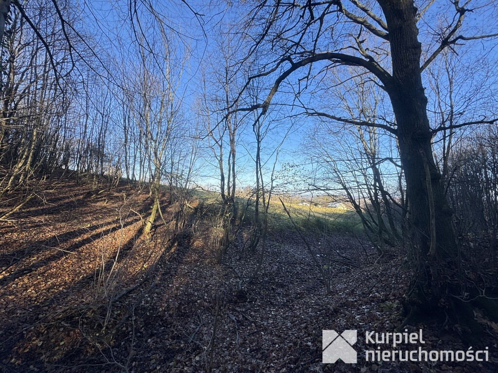 Przemyśl Kruhel Wielki działka leśna na sprzedaż