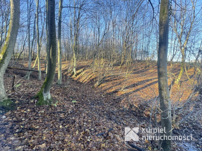 Przemyśl Kruhel Wielki działka leśna na sprzedaż