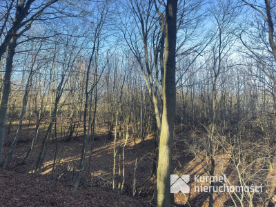 Przemyśl Kruhel Wielki działka leśna na sprzedaż