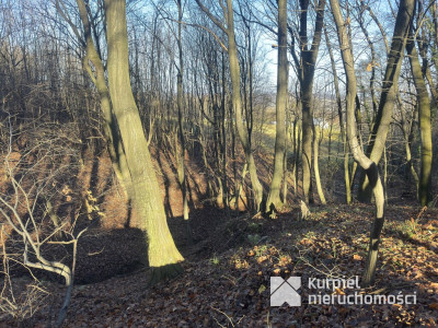 Przemyśl Kruhel Wielki działka leśna na sprzedaż