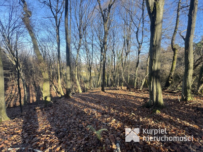 Przemyśl Kruhel Wielki działka leśna na sprzedaż