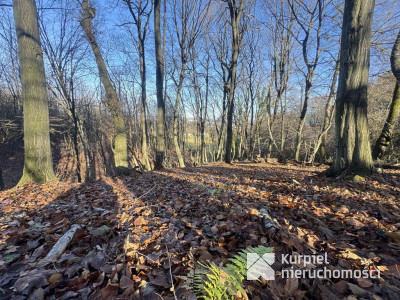 Przemyśl Kruhel Wielki działka leśna na sprzedaż