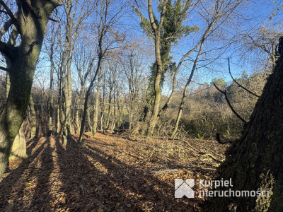 Przemyśl Kruhel Wielki działka leśna na sprzedaż