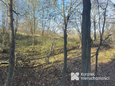 Przemyśl Kruhel Wielki działka leśna na sprzedaż