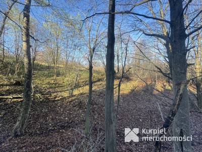 Przemyśl Kruhel Wielki działka leśna na sprzedaż