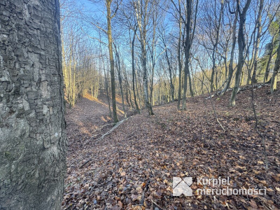 Przemyśl Kruhel Wielki działka leśna na sprzedaż