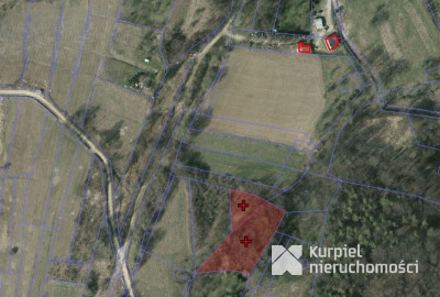 Przemyśl Kruhel Wielki działka leśna na sprzedaż