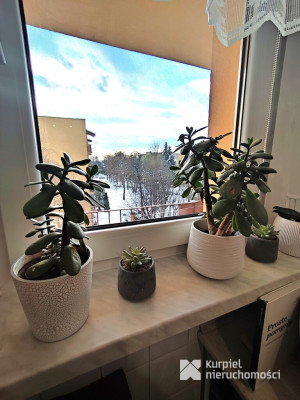 Mieszkanie do wynajecia 36 m2 /ul.Ofiar Katynia/