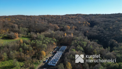 Nowość! Twoje mieszkanie przy lesie w Rzeszowie