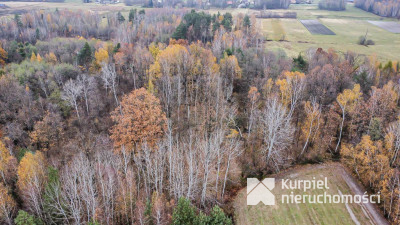 Działka 1,61 ha w lesie z altaną i oczkiem wodnym