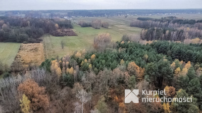 Działka 1,61 ha w lesie z altaną i oczkiem wodnym