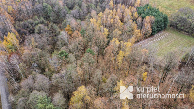 Działka 1,61 ha w lesie z altaną i oczkiem wodnym