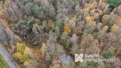 Działka 1,61 ha w lesie z altaną i oczkiem wodnym