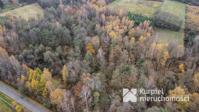 Działka 1,61 ha w lesie z altaną i oczkiem wodnym