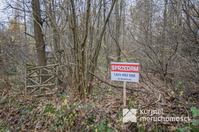 Działka 1,61 ha w lesie z altaną i oczkiem wodnym