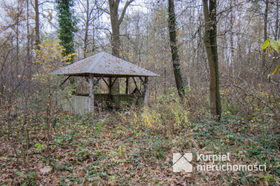 Działka 1,61 ha w lesie z altaną i oczkiem wodnym