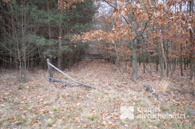 Działka 1,61 ha w lesie z altaną i oczkiem wodnym