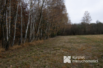 Działka 1,61 ha w lesie z altaną i oczkiem wodnym