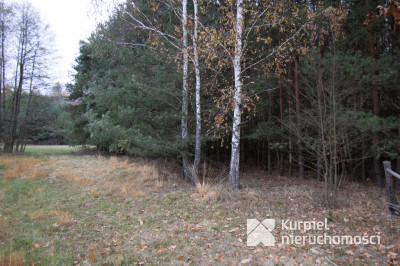 Działka 1,61 ha w lesie z altaną i oczkiem wodnym