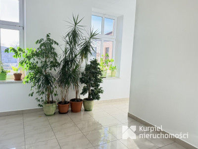 Mieszkanie na wynajem/ul.Zawiszy Czarnego/