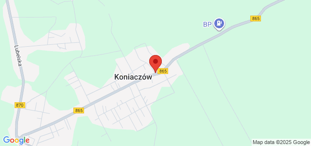 Gotowy do zamieszkania dom | Ogród | Garaż