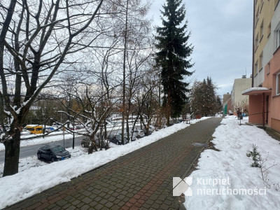 Kazanów do wynajęcia mieszkanie po remoncie