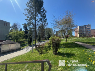 Kazanów do wynajęcia mieszkanie po remoncie