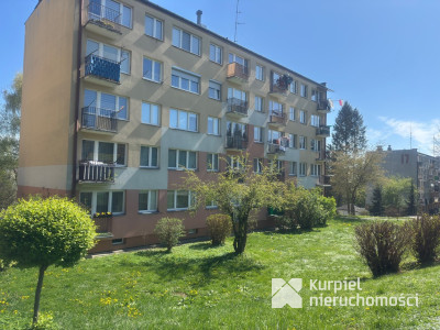 Kazanów do wynajęcia mieszkanie po remoncie