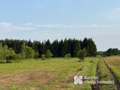 Działka rekreacyjna | WZ | Cienkie