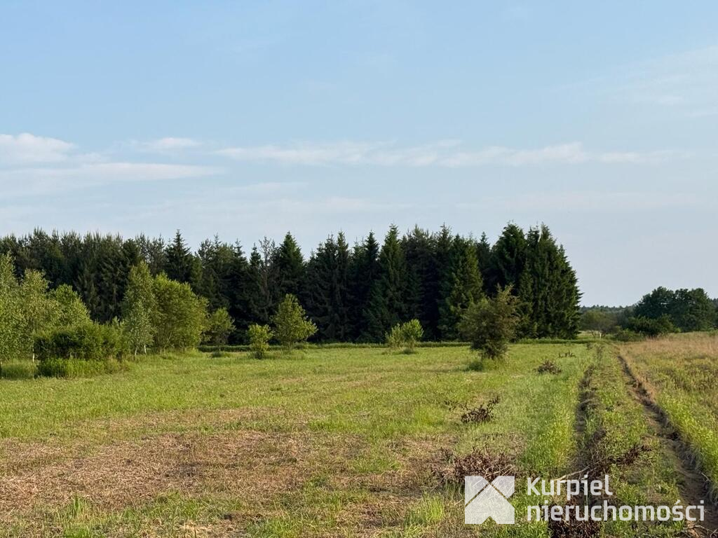 Działka rekreacyjna | WZ | Cienkie